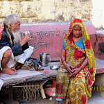 Egestas Egestas Fringilla Phasellus Faucibus Scelerisque